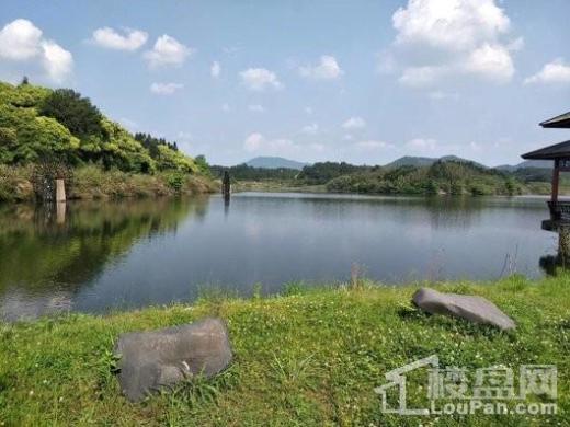 黄山厚海水岸度假山庄配套图